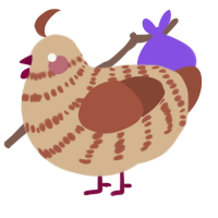 A beige and russet chicken with a bar pattern