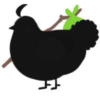 A black chicken