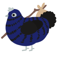 A navy and sable chicken with a bar pattern