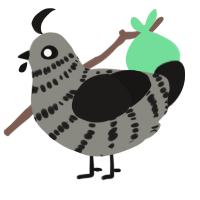 A ash and sable chicken with a bar pattern