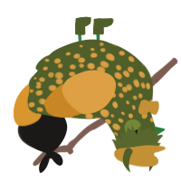 A olive and orange chicken with a speckle pattern