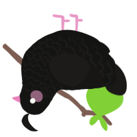 A black and sable chicken with a lace pattern