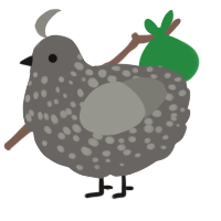 A grey and ash chicken with a speckle pattern