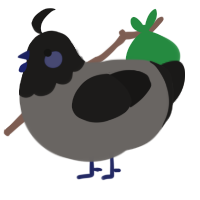 A grey and sable chicken with a head pattern