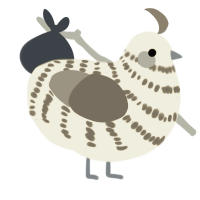A navy and ash chicken with a bar pattern