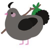 A grey and sable chicken