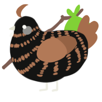 A black and brown chicken with a bar pattern