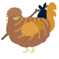 A brown and orange chicken with a half-bar pattern