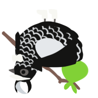 4th-D, a black and mist chicken with a lace pattern