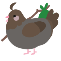 A grey and bark chicken with a head pattern