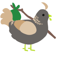 A grey and beige chicken with a neck-band pattern