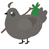 A grey chicken with a lace pattern