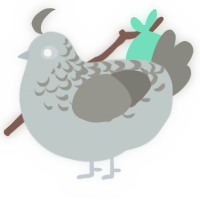 A silver and ash chicken with a half-lace pattern