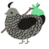A ash and sable chicken with a lace pattern