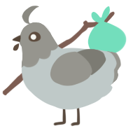 A silver and ash chicken with a head pattern