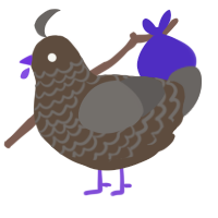 Oil Slick, a bark and grey chicken with a lace pattern