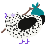 A white and black chicken with a speckle pattern