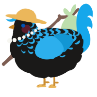 A sable and sky chicken with a half-lace pattern