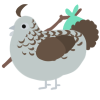 A silver and bark chicken with a half-lace pattern