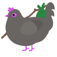 Disco Ball, a grey chicken