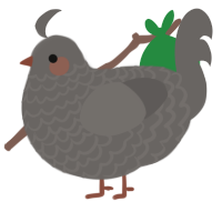 A grey chicken with a lace pattern