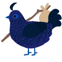 A navy and tumblr chicken with a lace pattern
