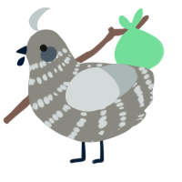 A ash and silver chicken with a bar pattern