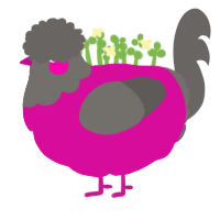 Disco, a fuchsia and grey chicken with a head pattern