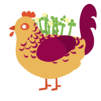 velvet, a honey and maroon chicken with a half-lace pattern