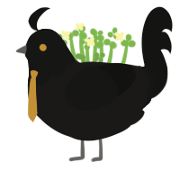 Scoliosis, a sable and black chicken with a head pattern