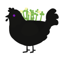 Enderman, a black chicken with a head pattern