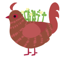 Miss Swiss, a russet and red chicken with a bar pattern