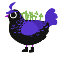 Cyanide, a black and indigo chicken with a half-lace pattern