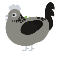 Amanita, a ash and sable chicken with a neck-speckle pattern