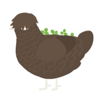 Turdlet, a bark chicken with a lace pattern