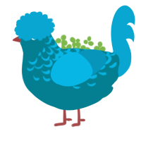 B-Rasp Jolly Rancher, a sea and cerulean chicken with a half-lace pattern