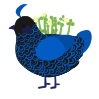 DJ, a sable and ultramarine chicken with a double-lace pattern