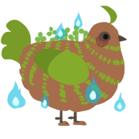 Oak Father, a brown and chartreuse chicken with a bar pattern