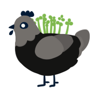 Ghost, a black and grey chicken with a head pattern