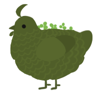 olive, a olive chicken with a lace pattern