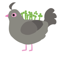 Rocky, a ash and grey chicken