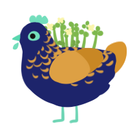 sonata, a navy and orange chicken with a half-lace pattern