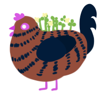 brownie, a russet and tumblr chicken with a bar pattern