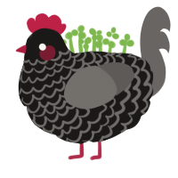 Kevin Reynolds, a sable and grey chicken with a lace pattern