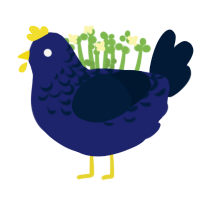 Gabby, a navy and tumblr chicken with a half-lace pattern