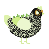 The Archivist, a black and apple chicken with a double-lace pattern
