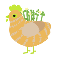 Slungus, a honey and beige chicken with a bar pattern