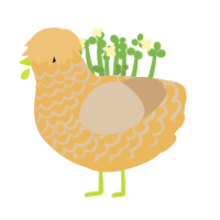 (unnamed), a honey and beige chicken with a lace pattern