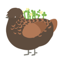Praline, a bark and brown chicken with a half-lace pattern