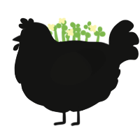 Void, a black chicken